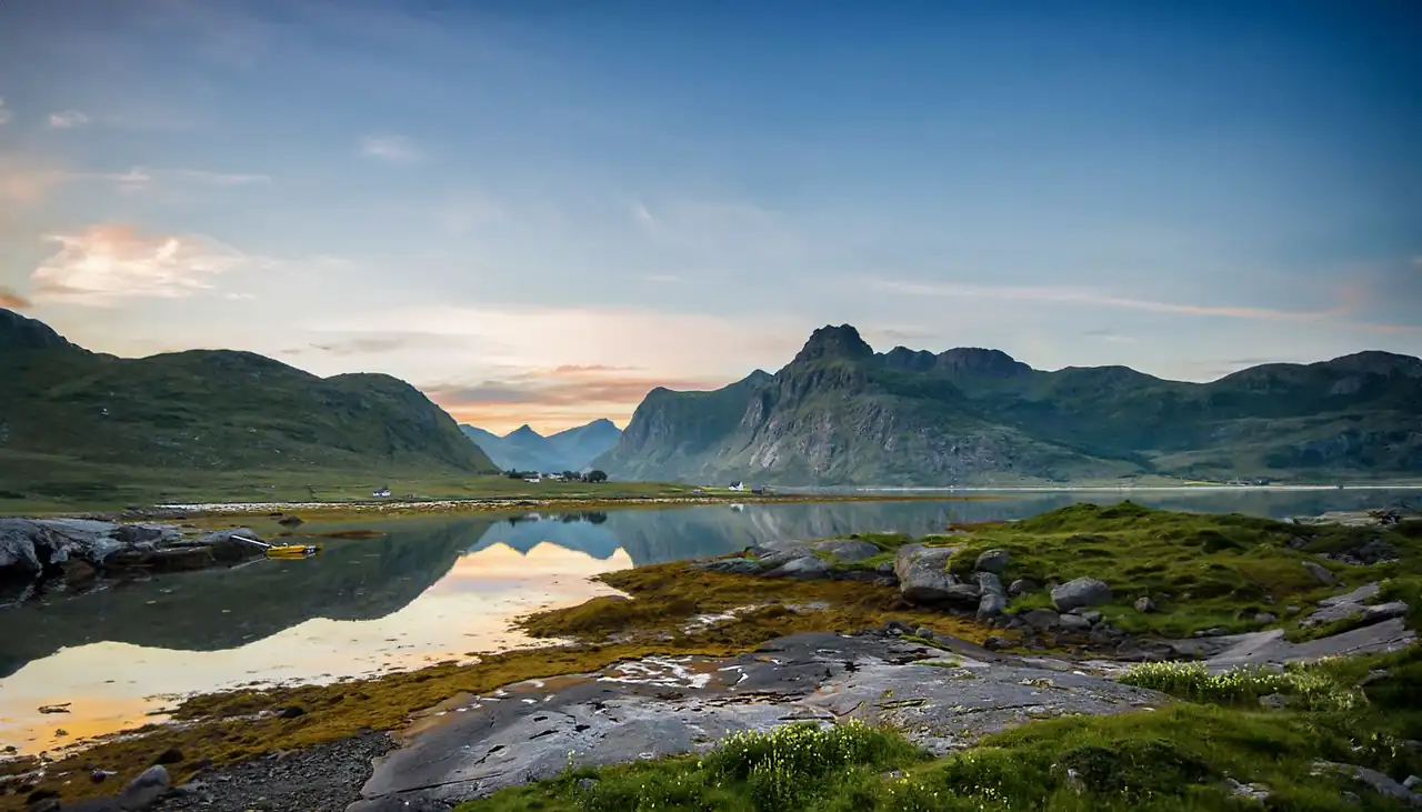 Norway Wildlife